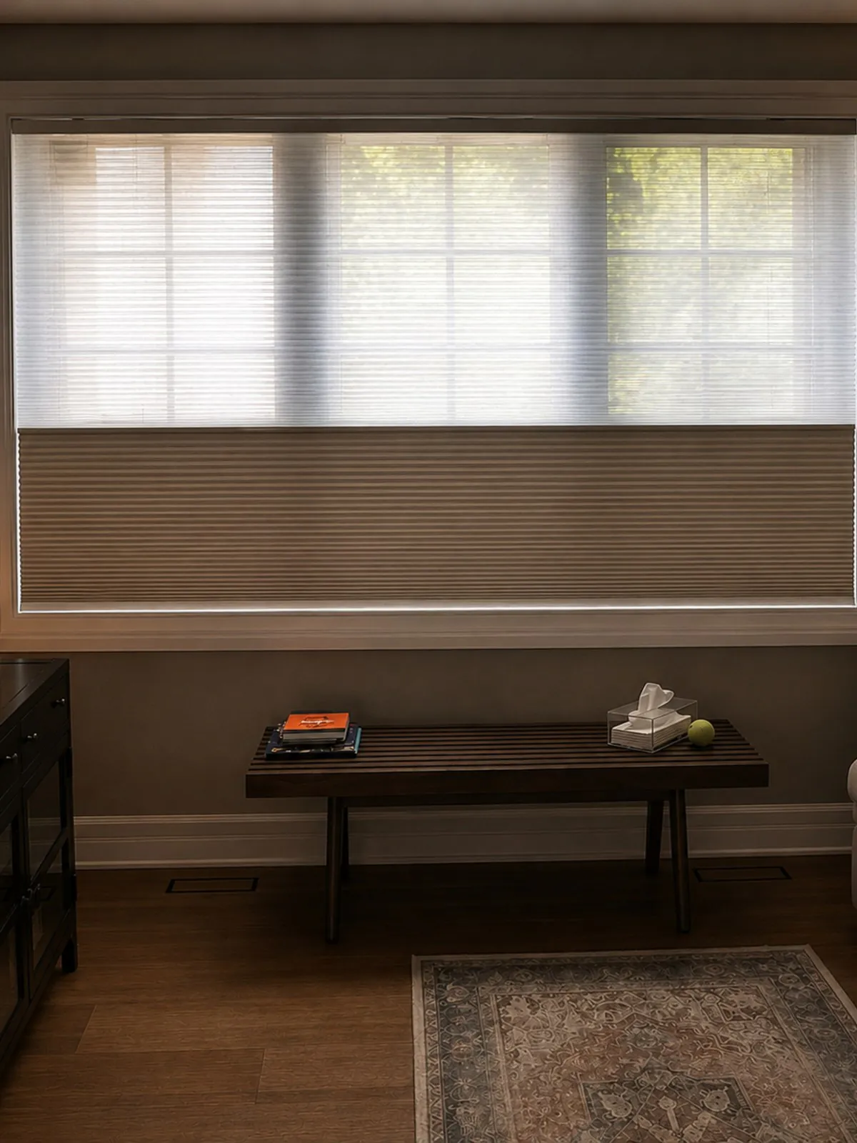 A top-down cellular shade: sheer at the top, blackout cells below